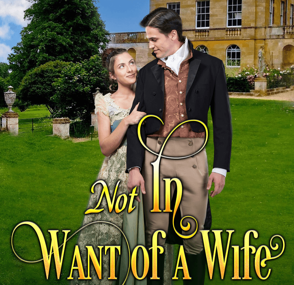 Not In Want of A Wife cover - by Amanda Kai